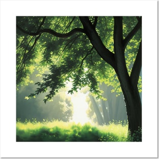 Sunlight Streaming Through the Branches of an Oak Tree Posters and Art